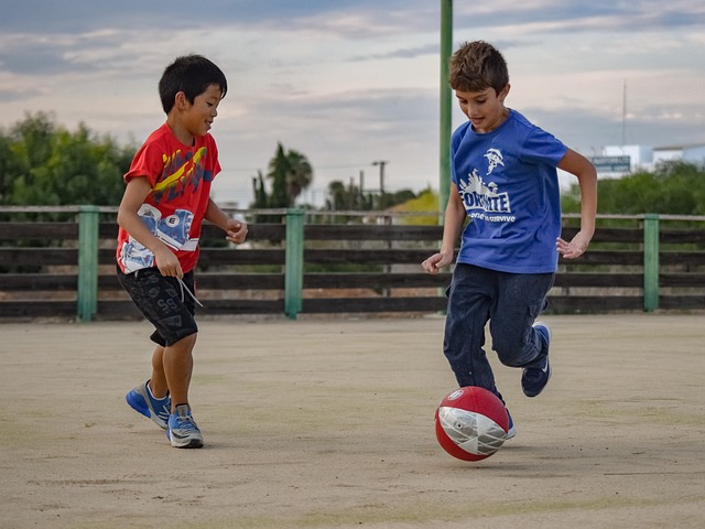 战术适应 战术适应