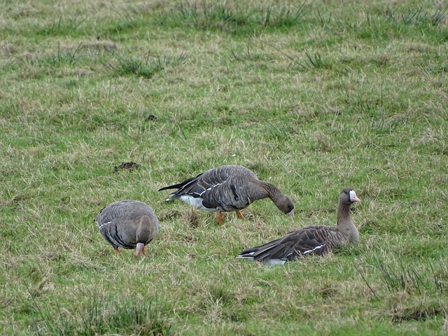 的积极转变 的积极转变