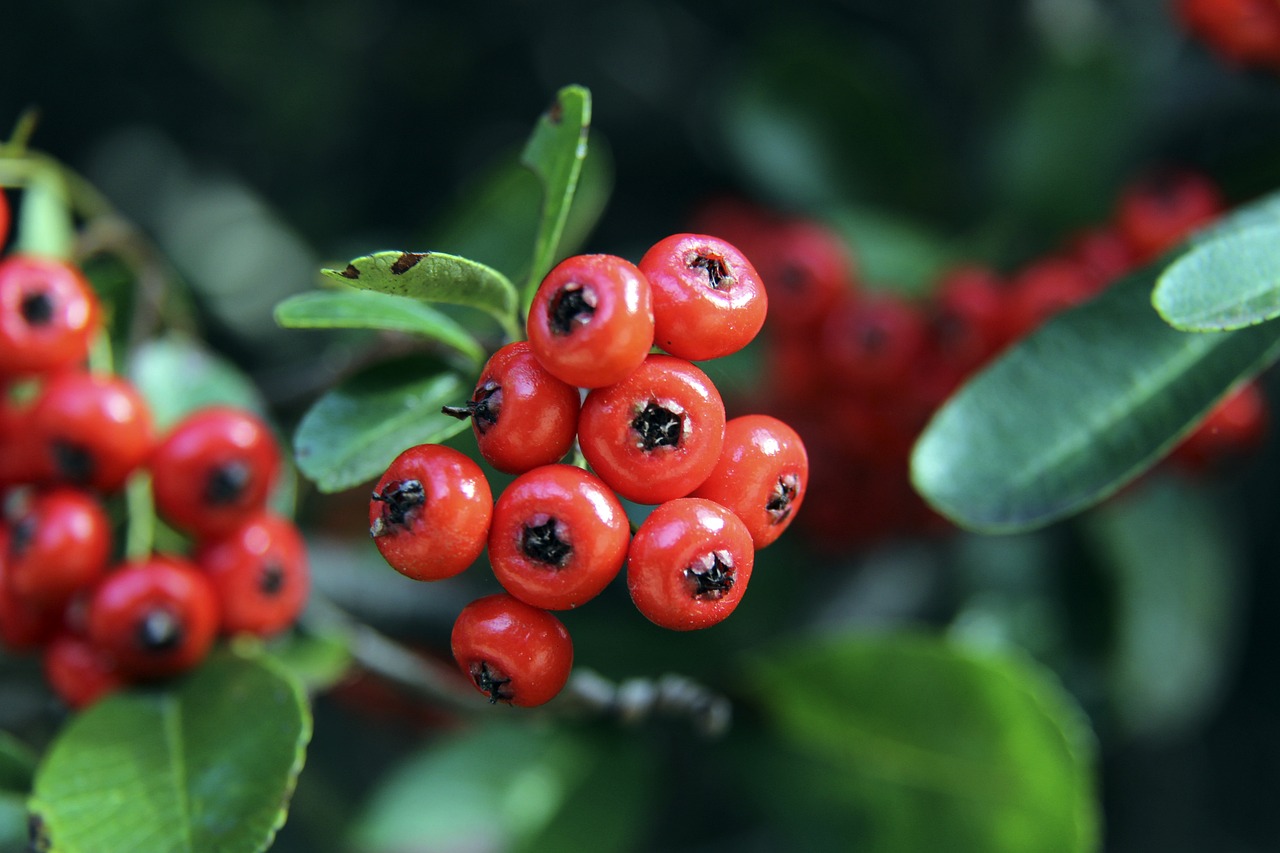 队制定战略 队制定战略